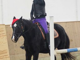 img_39271_web